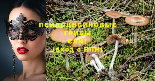 твердый Михайловка