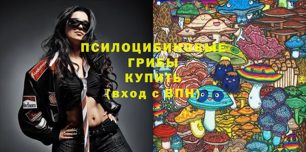 твердый Михайловка